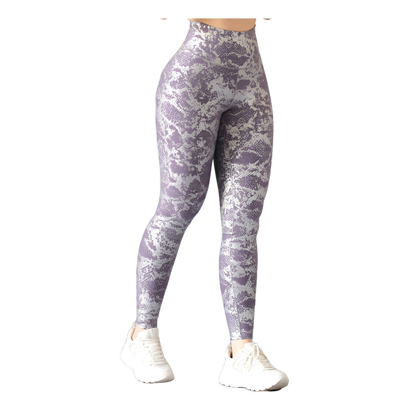 Colombian Lycra Sports Legging Gala Sport Elite Tabita