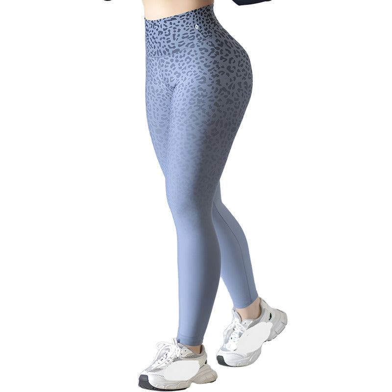 Gala Sport Elite Ren Colombian Lycra Sports Leggings