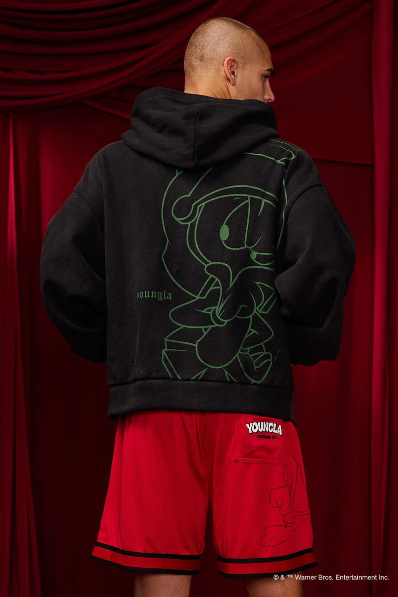 5257 - Looney Tunes Plaid Zip-Ups Youngla
