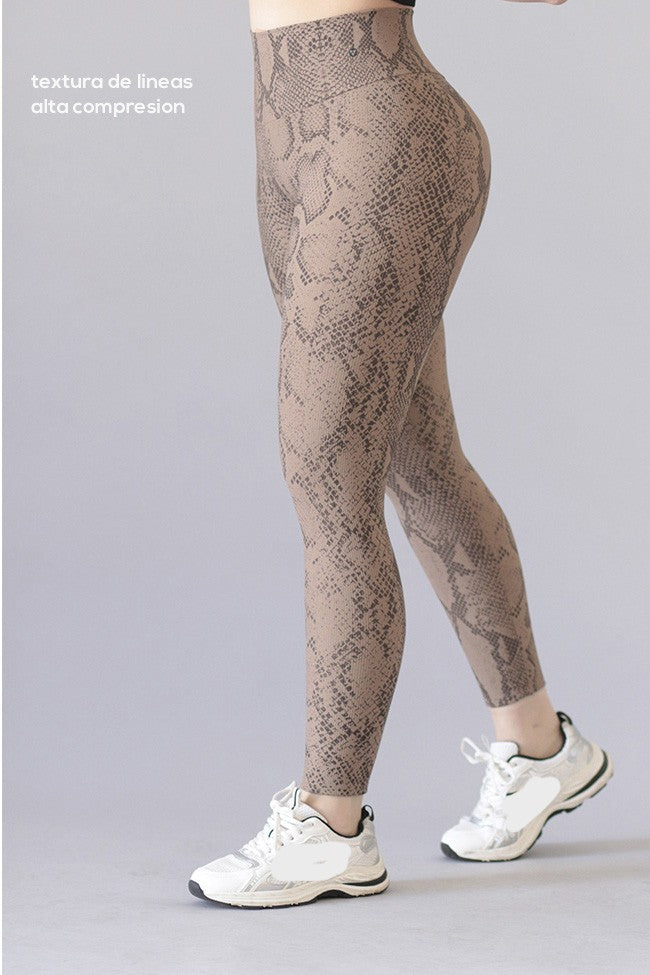 Gala Sport Elite Shine Colombian Lycra Sports Leggings
