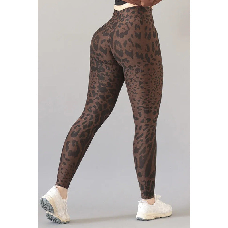 Legging Deportivo Lycra Colombiana Gala Sport Push Up Teleph