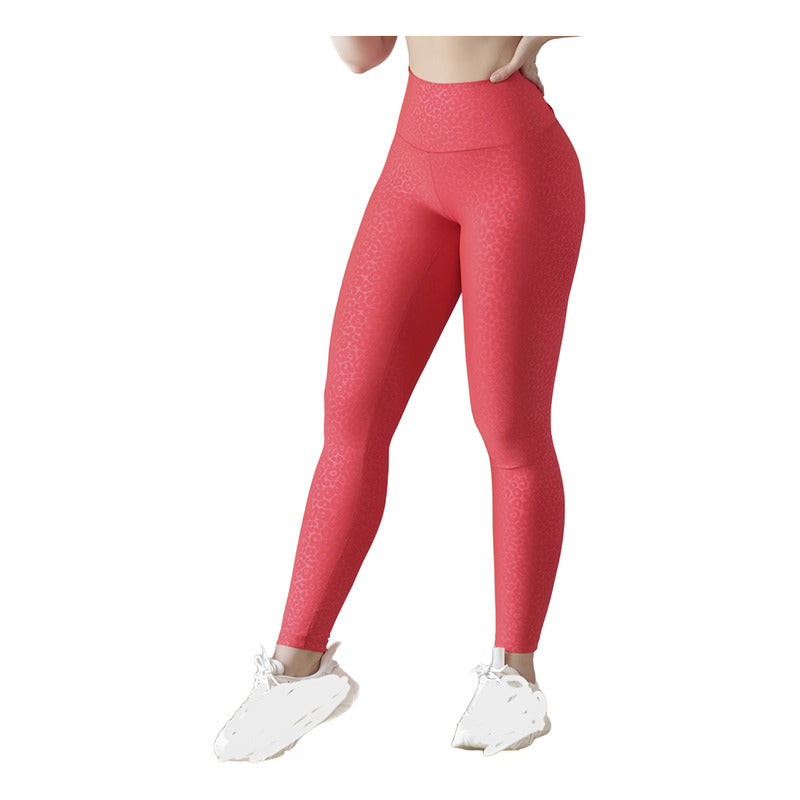 Legging Deportivo Lycra Colombiana Gala Sport Elite Alisa