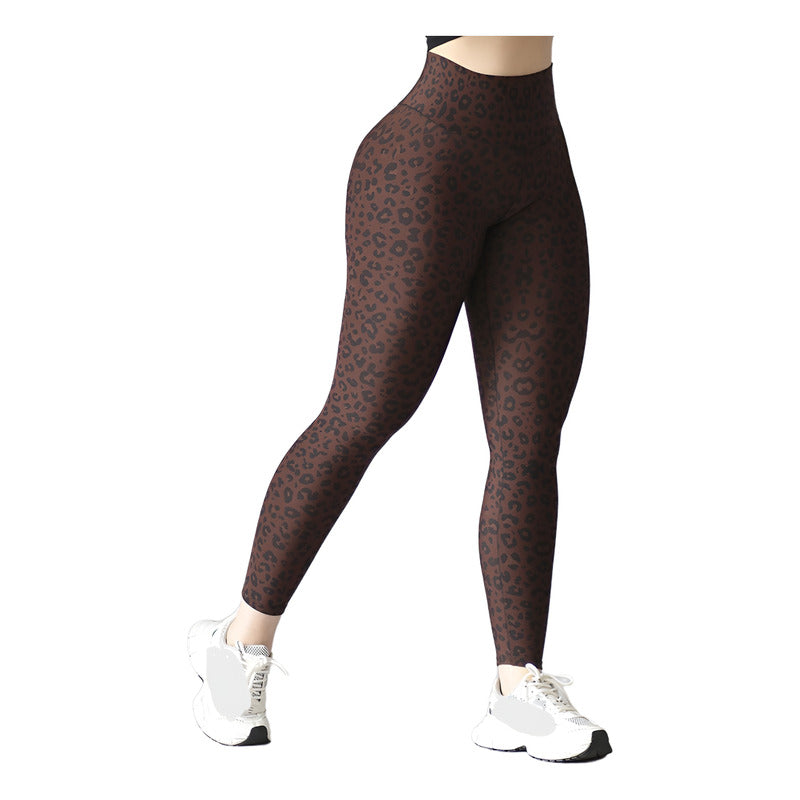 Legging Deportivo Lycra Colombiana Gala Sport Push Up Kolu