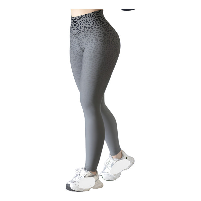 Legging Deportivo Lycra Colombiana Gala Sport Elite Ren