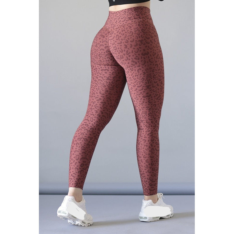 Legging Lycra Deportivo Colombiano Galasport Elite Tentli