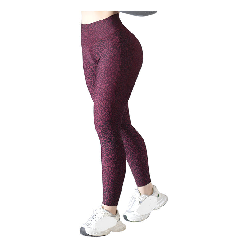 Legging Lycra Deportivo Colombiano Galasport Elite Nacayotl