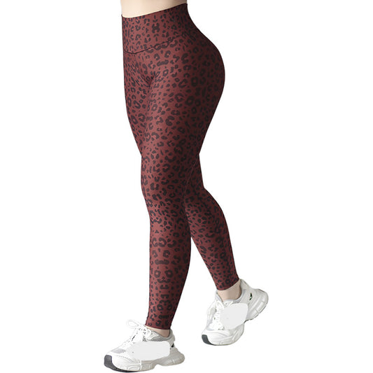 Legging Deportivo Lycra Colombiana Gala Sport Push Up Kolu