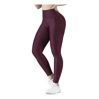 Legging Deportivo Lycra Colombiana Gala Sport Elite Stellar