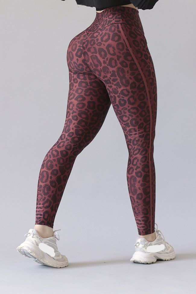 Legging Deportivo Lycra Colombiana Gala Sport Push Up Wild