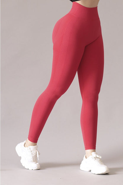 Legging Lycra Deportivo Colombiano Galasport Elite Ingrid